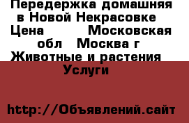 Передержка домашняя в Новой Некрасовке › Цена ­ 100 - Московская обл., Москва г. Животные и растения » Услуги   